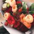 Rosen richtig pflegen – so gelingts!